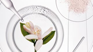 dejouer les mauvais jours pour les cheveux avec notre nouveau shampooing sec