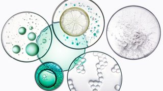 specifique-potentialiste-4