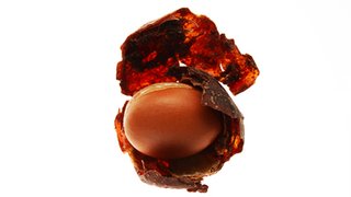 Finest Ingredients On Earth Article 2 Kérastase